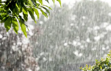 Clima en Edomex para este 1 de julio ¿cuál será el pronóstico del clima para este martes?
