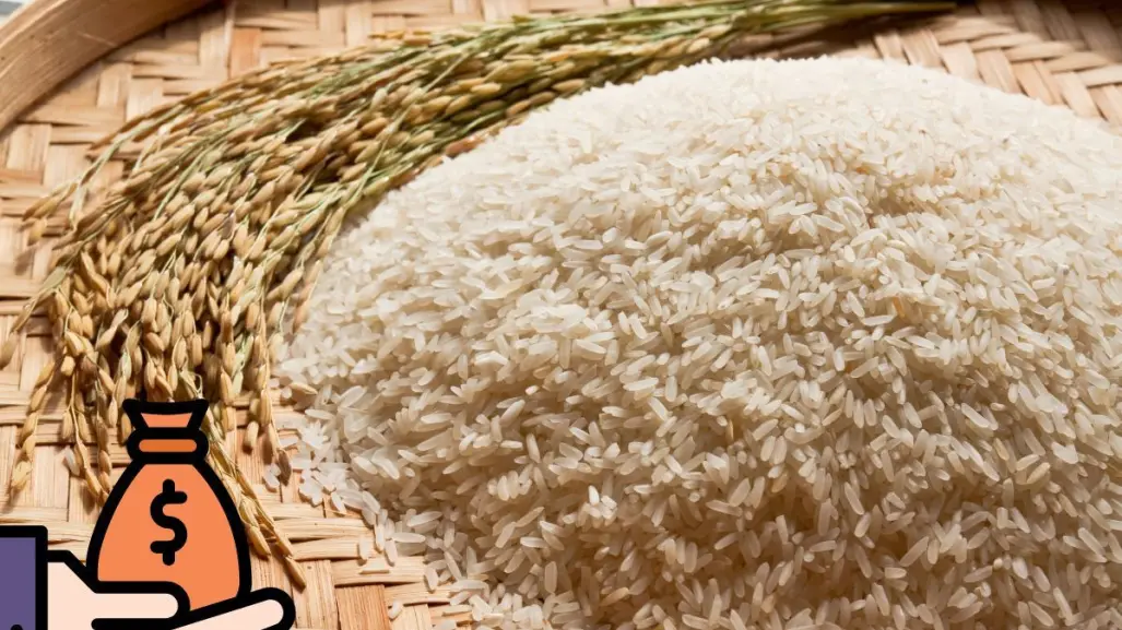 ¿Dónde encontrar arroz barato? Este es su costo en Soriana y en mercado de la CDMX