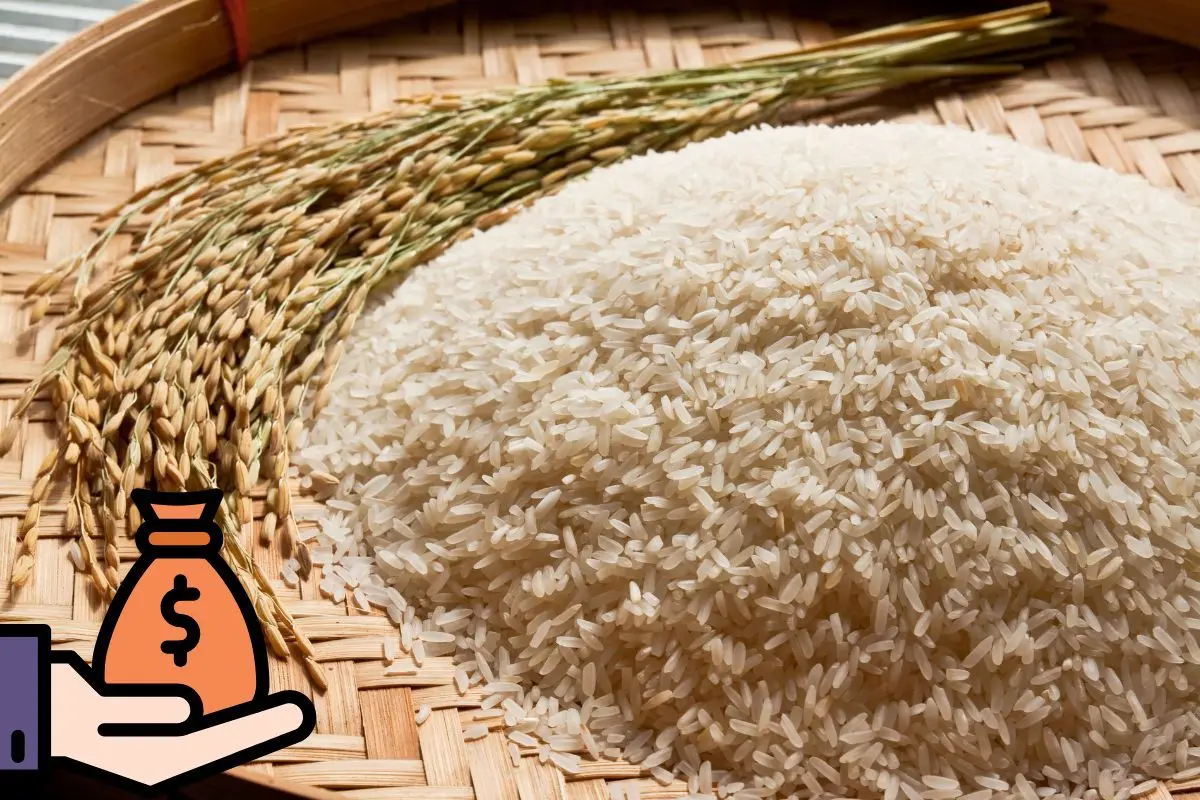 Canasta llana de arroz. Foto: Canva