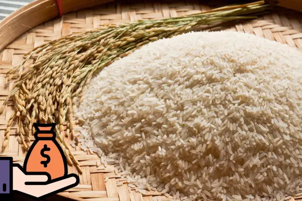¿Dónde encontrar arroz barato? Este es su costo en Soriana y en mercado de la CDMX
