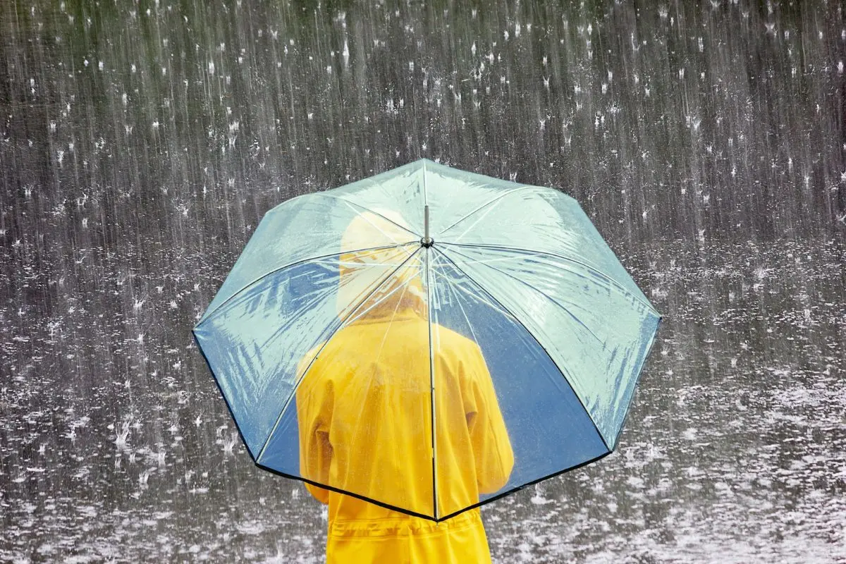Flossie llega a México hoy 30 de junio; sigue la trayectoria de la tormenta tropical. Foto: Canva.