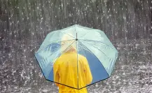 EN VIVO | Flossie llega a México hoy 30 de junio; sigue la trayectoria de la tormenta tropical