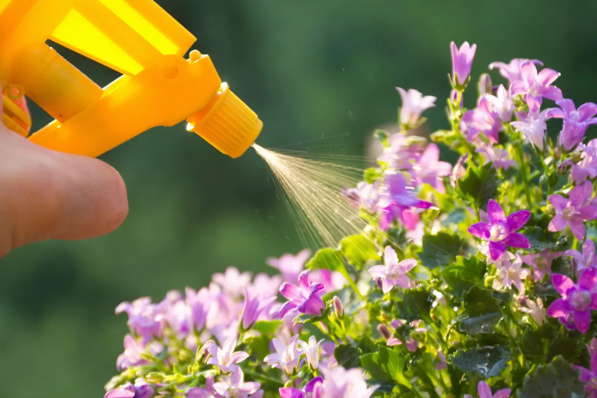 Descubre el secreto de un fertilizante casero que revive tus plantas usando solo tres ingredientes que seguro tienes en casa. Foto: Canva