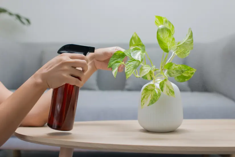 Una receta casera está dando vida a cientos de jardines y solo necesitas tres ingredientes que ya conoces bien. Foto: Canva