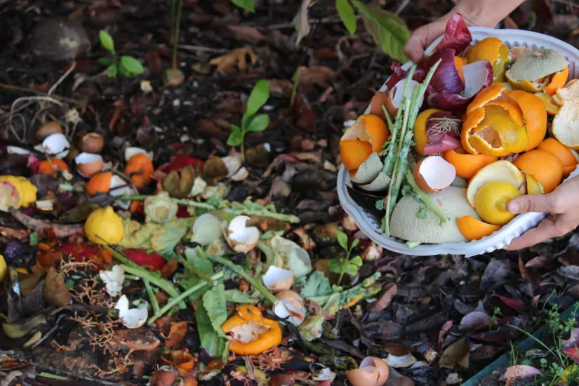 Con ingredientes comunes puedes preparar un fertilizante casero tan potente que tus plantas crecerán verdes, fuertes y libres de plagas. Foto: Canva