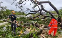 Tormenta tropical Flossie podría intensificarse a huracán categoría 1, advierte el SMN