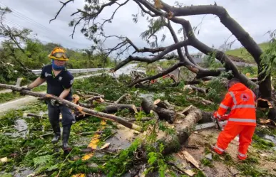 Tormenta tropical Flossie podría intensificarse a huracán categoría 1, advierte el SMN
