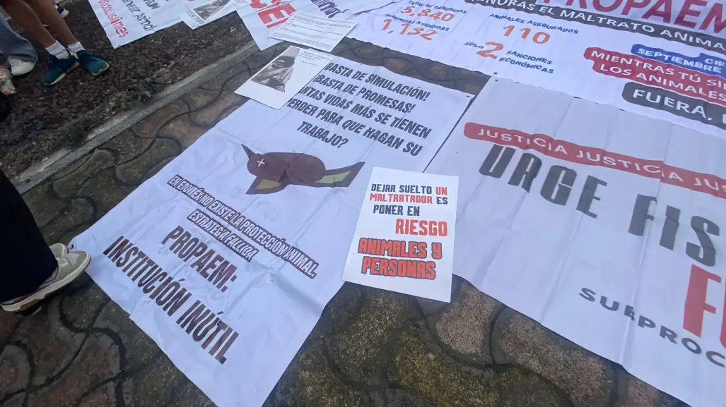 Colectivos piden desaparecer Propaem: ¿por qué acusan fallas contra maltrato animal?