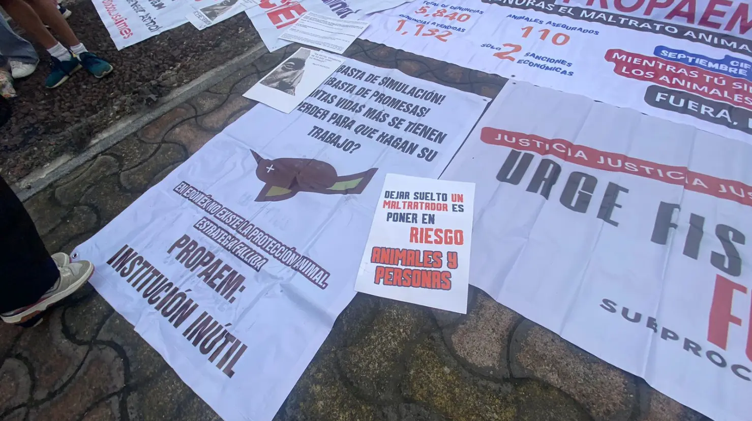 Protestan en Toluca para exigir a la gobernadora Delfina Gómez la creación de una Fiscalía. Imagen: Alberto Dzib