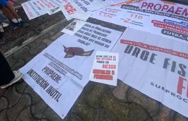 Colectivos piden desaparecer Propaem: ¿por qué acusan fallas contra maltrato animal?