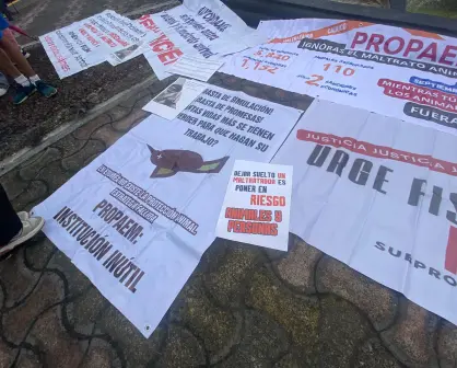 Colectivos piden desaparecer Propaem: ¿por qué acusan fallas contra maltrato animal?