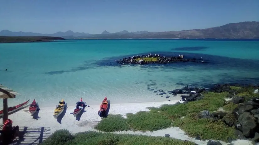Isla Coronado en Loreto se distingue por sus aguas cristalinas. Foto: TripAvisor