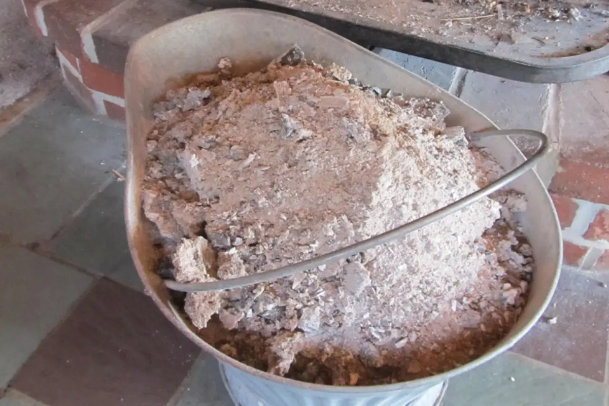 Utilizar ceniza de madera como enmienda del suelo agrícola ofrece beneficios para la fertilidad y sostenibilidad de los cultivos. Foto: University of New Hampshire