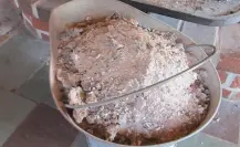 La ceniza especial que le devuelve la vida a tus plantas en el verano
