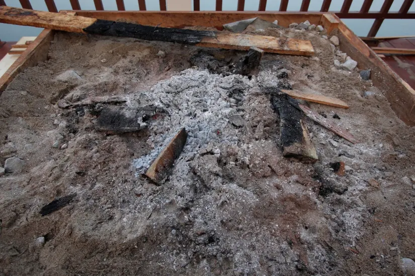 La ceniza de madera se presenta como una opción viable para enriquecer el suelo agrícola y fomentar un ecosistema saludable. Foto: Canva