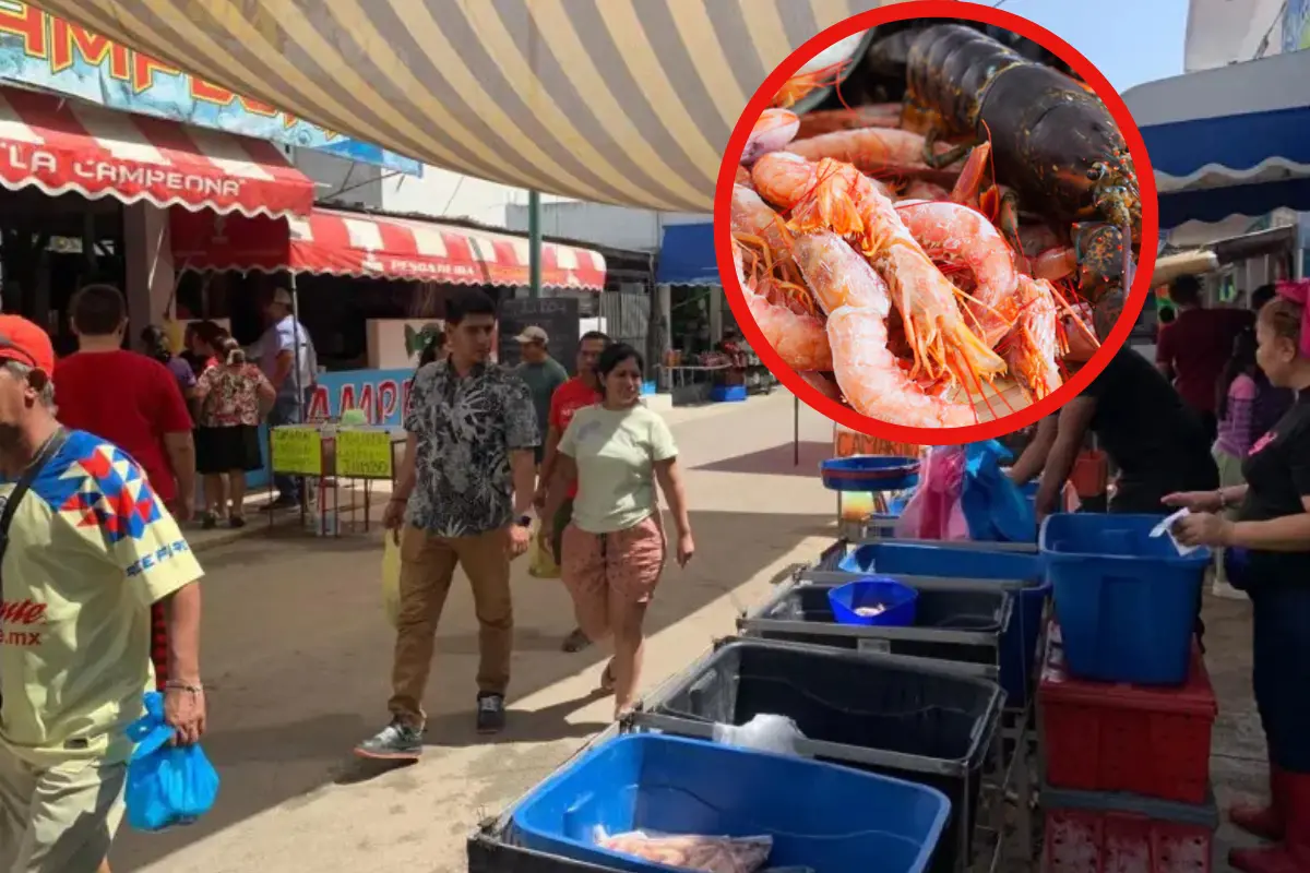 La puntillita es el mercadito de Tamaulipas donde puedes comprar mariscos frescos, recién traídos de la laguna del Champayán y el río Tamesí