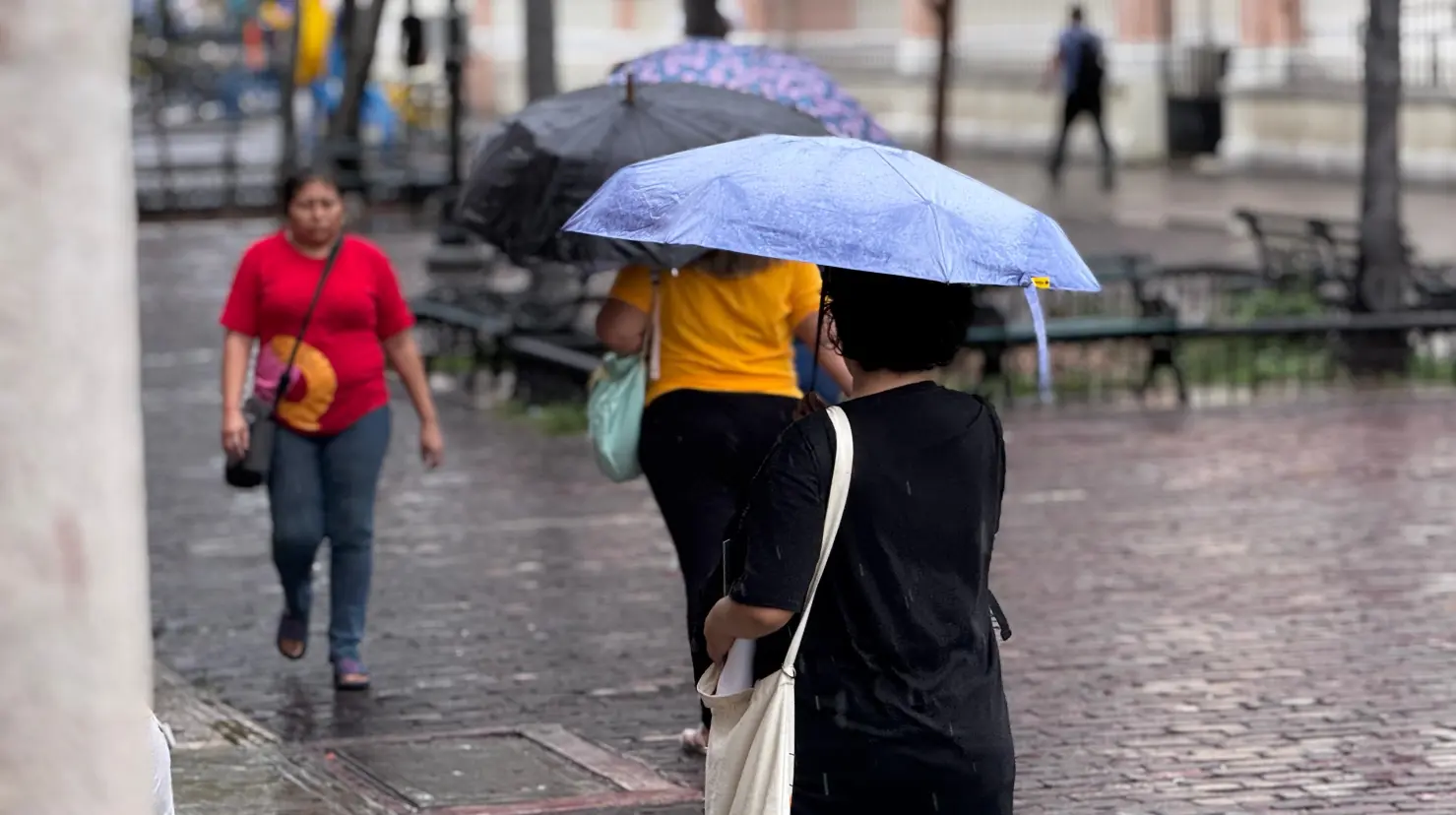 Para este lunes 30 de junio se pronostica un ambiente muy caluroso durante el día, en contraste con el clima más agradable que se registró el fin de semana.- Fuente Irving Gil