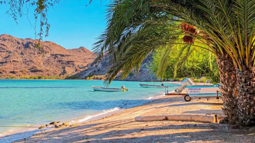 Playa El Coyote en Mulegé. Foto: Facebook / Conoce Baja California Sur