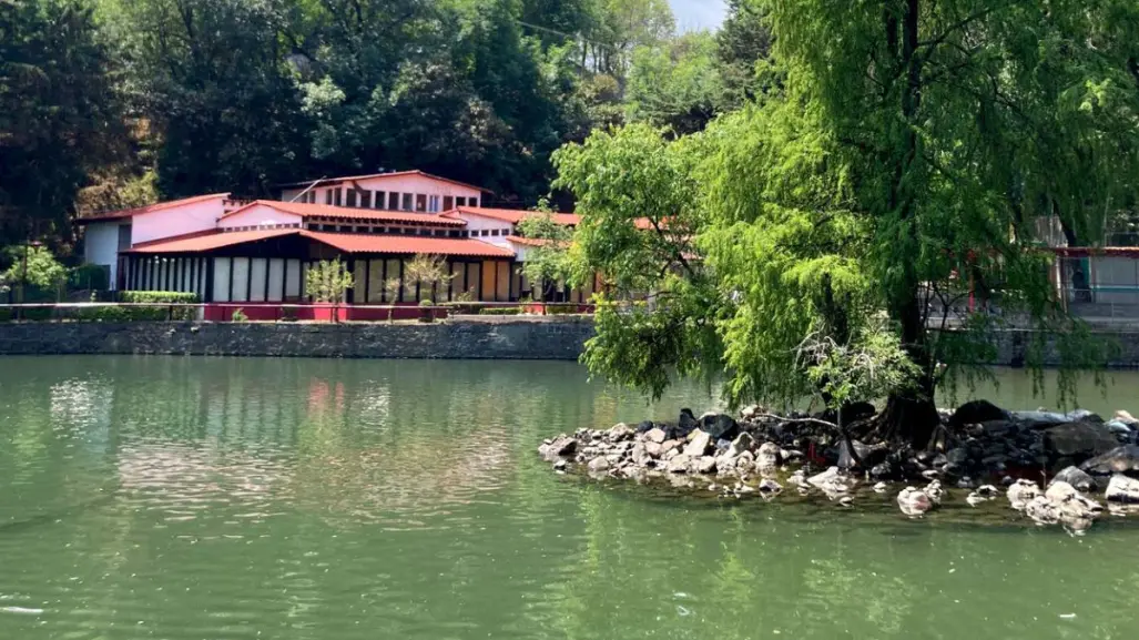 El oculto parque gratis en CDMX con lagos, río, animales y comida barata que casi nadie visita