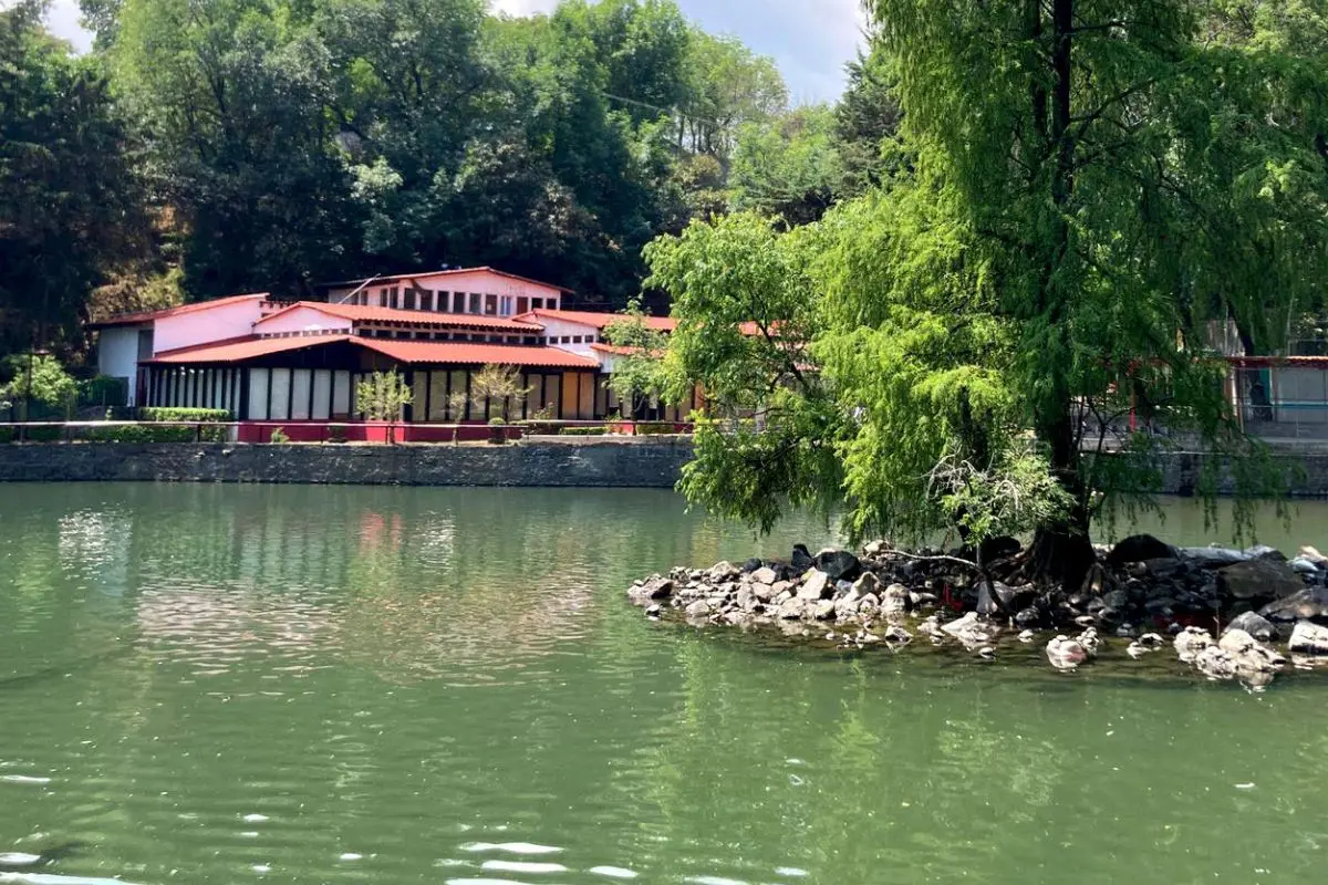 Vista al lago de agua cristalina en el Parque Nacional Fuentes Brotantes Foto: Secretaría de Turismo de la Ciudad de México