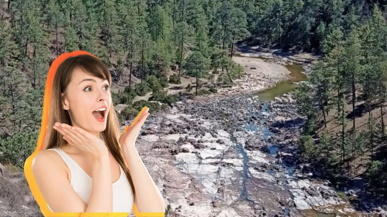 Este hermoso río de Durango nace en la Sierra Madre Occidental. Foto: FB Río Miravalles.