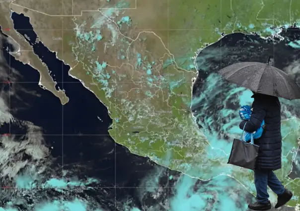 EN VIVO | Barry ocasionará lluvias en Tamaulipas hoy 30 de junio; trayectoria