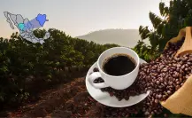 El único municipio de Durango que produce café gracias a su clima semitropical