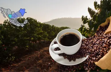 El único municipio de Durango que produce café gracias a su clima semitropical