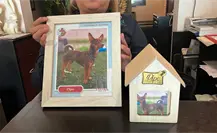 Plan previsor funerario para mascotas en Durango: precios y beneficios Plan previsor funerario para mascotas en Durango: precios y beneficios