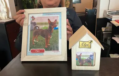 Plan previsor funerario para mascotas en Durango: precios y beneficios