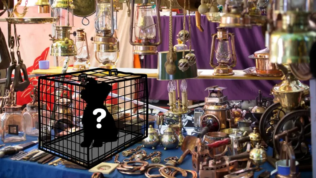 La mercancía prohibida que es común encontrar en el tianguis más grande de Durango
