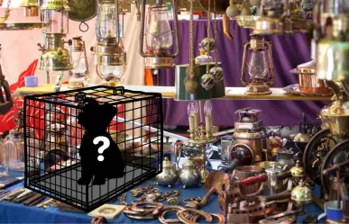 La mercancía prohibida que es común encontrar en el tianguis más grande de Durango
