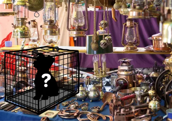 La mercancía prohibida que es común encontrar en el tianguis más grande de Durango