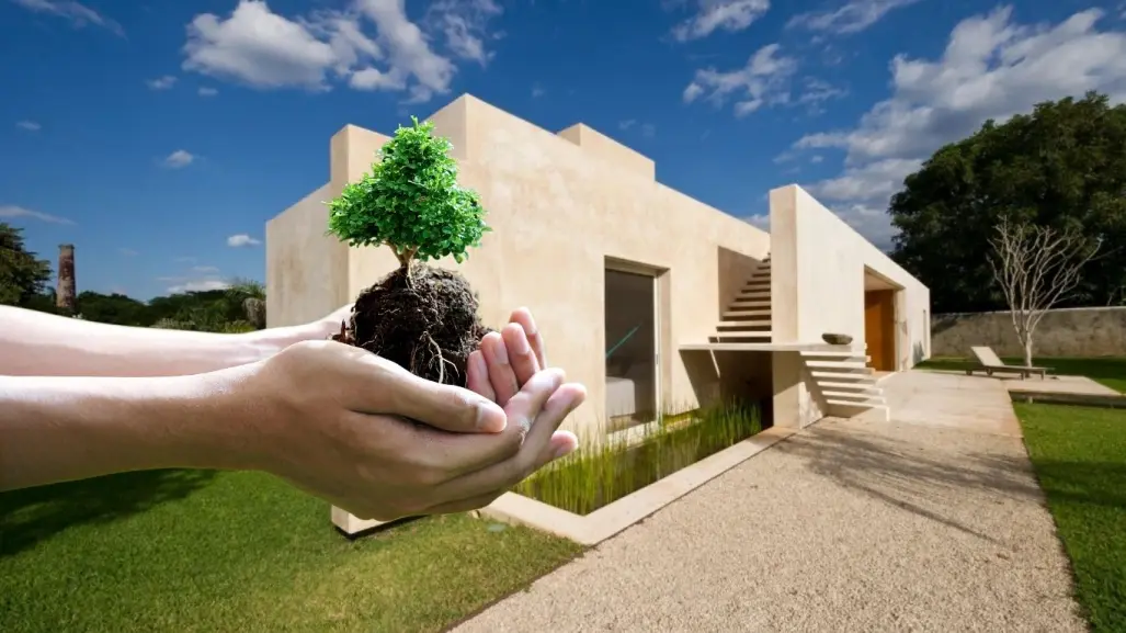 ¿Un material de construcción hecho con árbol? Así es el sorprendente Chukum yucateco