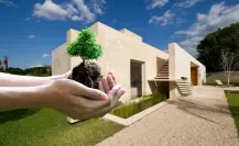 ¿Un material de construcción hecho con árbol? Así es el sorprendente Chukum yucateco