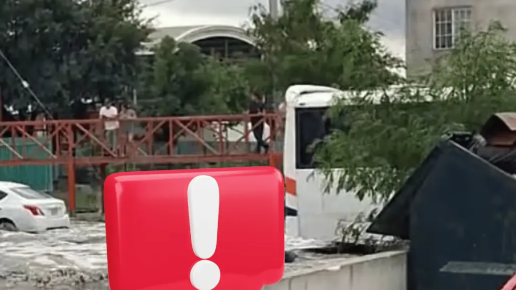 Graban a niños jugando en arroyo desbordado en El Carmen l VIDEO