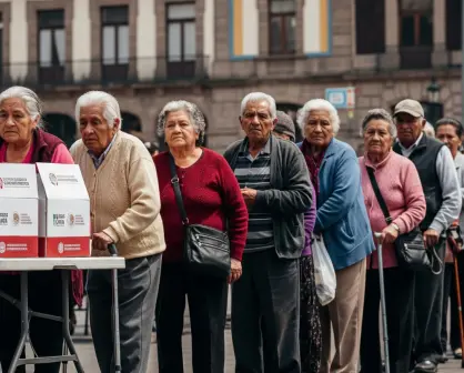 Recibe despensas gratis con tu tarjeta INAPAM en CDMX; checa fechas y requisitos