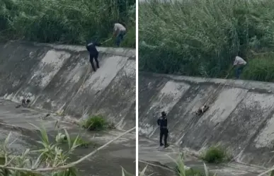 Tras lluvias, rescatan a perrito en el arroyo La Talaverna I VIDEO