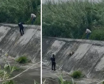 Tras lluvias, rescatan a perrito en el arroyo La Talaverna I VIDEO