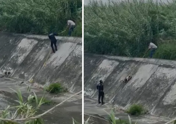 Tras lluvias, rescatan a perrito en el arroyo La Talaverna I VIDEO