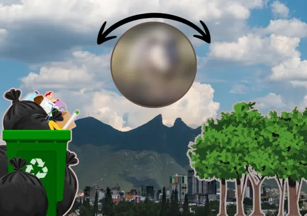 El animal nativo de Nuevo León que sobrevive entre la basura y los árboles
