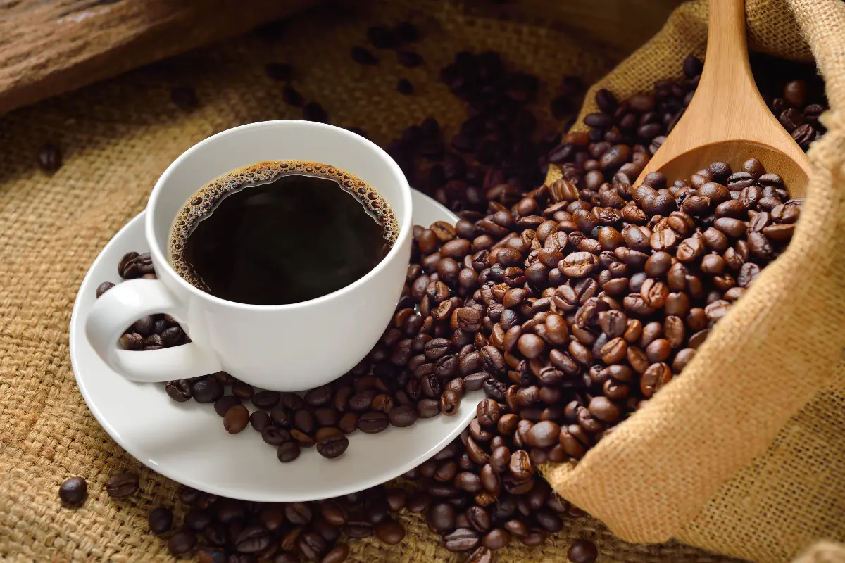 En este clima gélido, disfrutar de un buen café es vital, y Profeco revela las opciones más recomendables del mercado. Foto: Canva