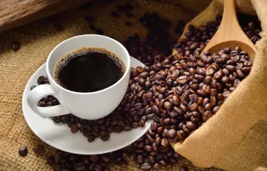 Este café es el mejor de México por su sabor, calidad y cuesta menos de 200 pesos, según Profeco