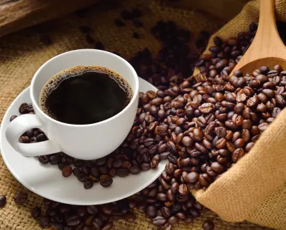 Este café es el mejor de México por su sabor, calidad y cuesta menos de 200 pesos, según Profeco