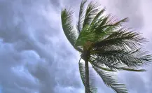 Huracán Flossie podría convertirse en categoría 2, confirma Conagua
