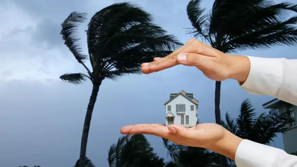 ¿Vives en zona de huracanes? Acá te mostramos tips para proteger tu casa 