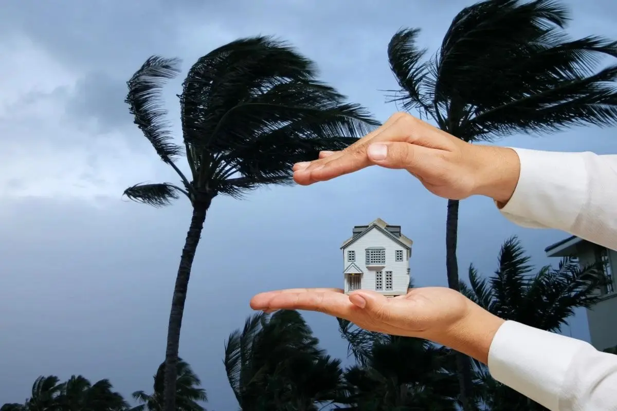 Protege tu casa en temporada de huracanes Foto: Canva