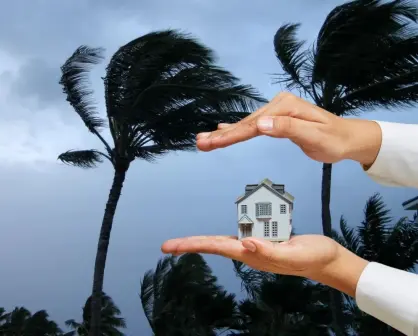 ¿Vives en zona de huracanes? Acá te mostramos tips para proteger tu casa 