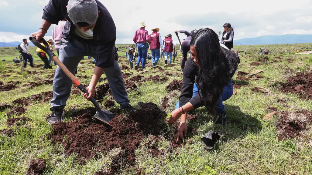 Arranca en Jilotepec mega reforestación del Edomex con cinco mil árboles