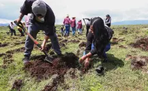 Arranca en Jilotepec mega reforestación del Edomex con cinco mil árboles